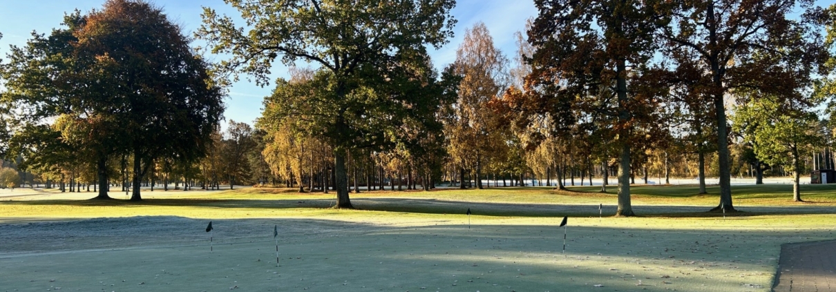 Banan frostig morgon 25 10 20