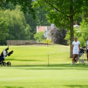 banner image 4