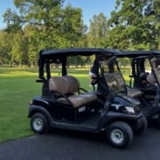 golfbil2